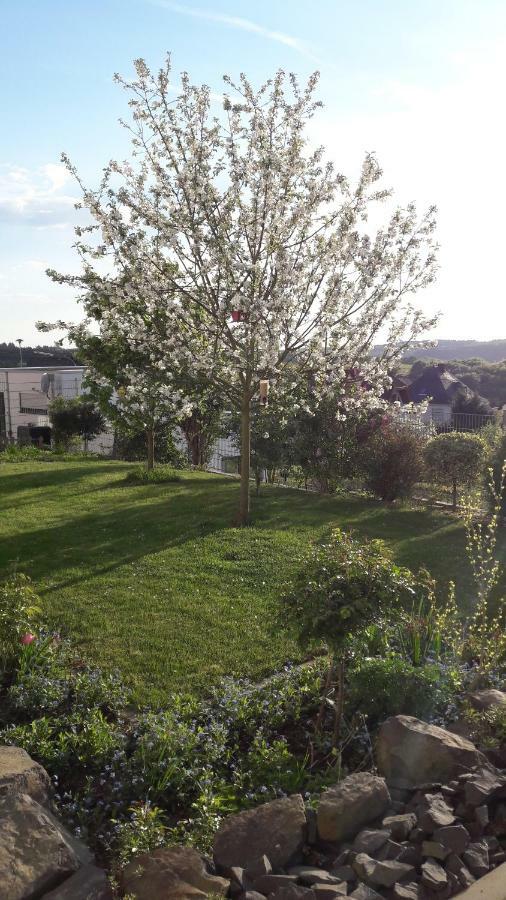 Ferienwohnung Sayntalblick Caan Eksteriør billede